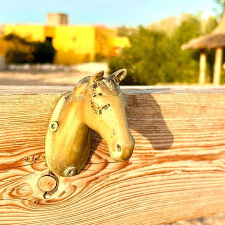Eco-Ranch Salome Daire Sidi Kaouki Dış mekan fotoğraf