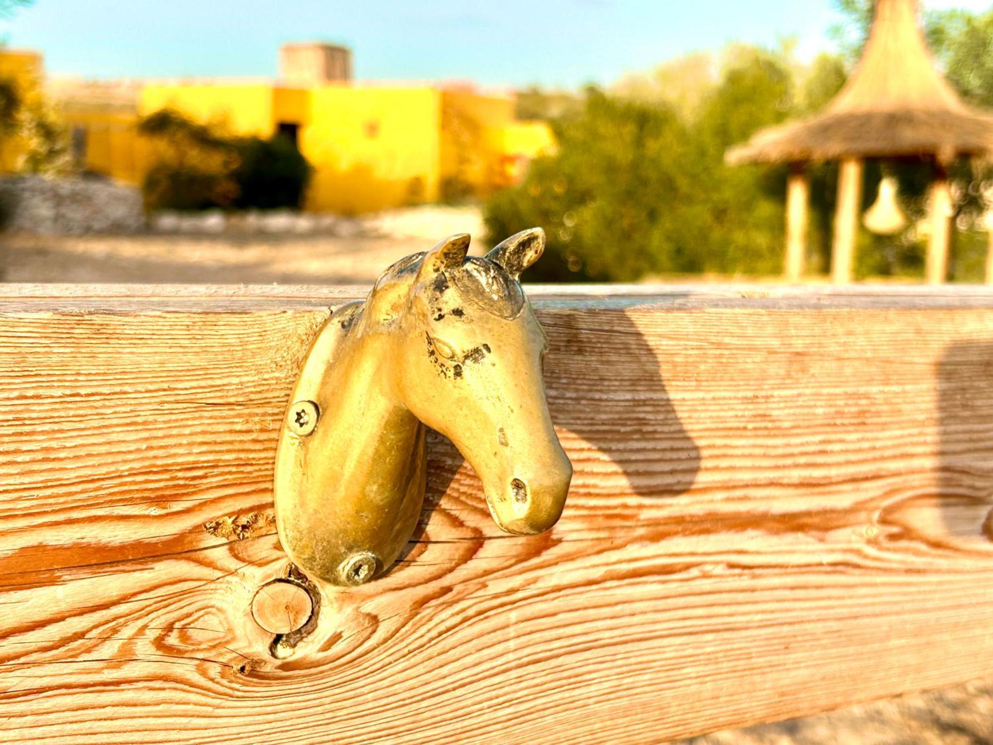 Eco-Ranch Salome Daire Sidi Kaouki Dış mekan fotoğraf